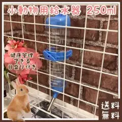 Item thumbnail for item 4845da1d-0f65-4b7a-a24d-bb393252efa4