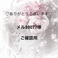 メル30077様　レジンヘアゴム ポニーフック