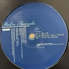 Banilla Blu / Karen avex 国内プロモ ユーロビート Banilla Blu / Karen avex 国内プロモ ユーロビート - メルカリ