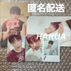 &TEAM シーグリ HARUA