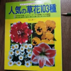 Item thumbnail for item a1e6dca0-b343-47e7-8fcb-8b2d7c57f6a4