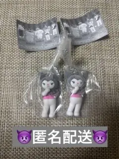 サンリオキャラクターズ　ミニチュアチャーム　ライブキャラクター　クロミ2個セット