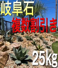 차트 스톤 100-200mm 기후 록 가든 스톤 스플릿 체스트넛 스톤 록 가든 가비온