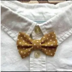 蝶ネクタイ　水玉　マスタード