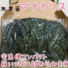 Yuki様 リクエスト 5点 まとめ商品