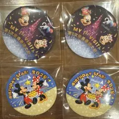 香港ディズニーランド 缶バッジ 4個セット