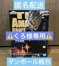 ⚠️くろ様専用⚠️ヒロアカ　THE AMAZING HEROES-PLUS-