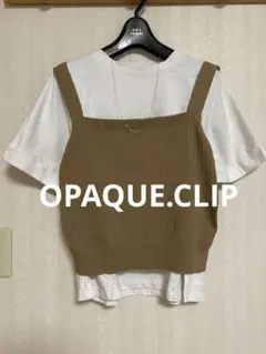 オペークドットクリップ ビスチェ M