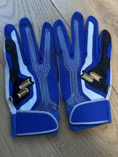 Item thumbnail for item c3e14096-bf06-4954-bca8-28619bfa3d58