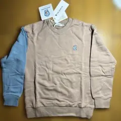 Item thumbnail for item a477bd43-8926-426c-aa2c-77dab6dfc260