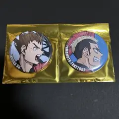 ハイキュー　ゴミ捨て場の決戦　 コレクション缶バッジ　音駒　山本猛虎　犬岡走