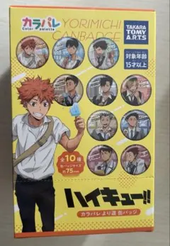 ハイキュー!! カラパレ道　缶バッジセット box まとめ売り