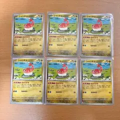 【6枚セット】シャリタツ きゃくよせ