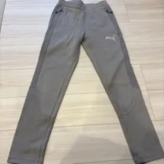 Puma グレー パンツ メッシュサイド