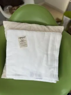 Item thumbnail for item c88bdcb6-b637-47fc-bee5-999e541fe3b3