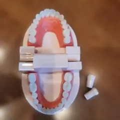 Item thumbnail for item 9ea25467-c245-4bfb-b3f2-c1bd298f6a17