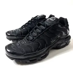 【極美品】NIKE Air Max Plus triple black 29cm