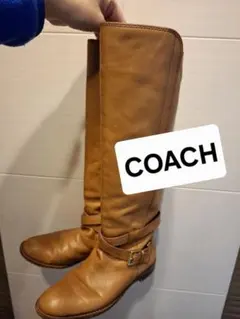 Item thumbnail for item bef4465f-2cea-45b7-ab00-1ccc014d3ce8