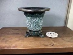 2026年最新】万年青 鉢の人気アイテム - メルカリ