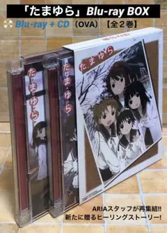 Item thumbnail for item 34b1a857-ada4-4b6e-8d2c-9a7235af5af5