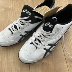 Item thumbnail for item f8698ef3-5654-42ab-9003-185f06e6200b