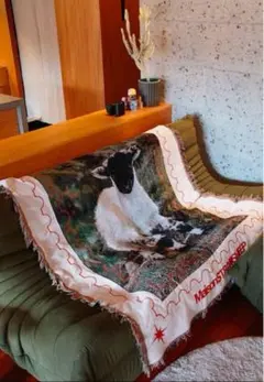 maison straysheep ブランケット未開封未使用 MaisonSTRAYSHEEP STRAYSHEEP RUG ブランケット | ブランケット