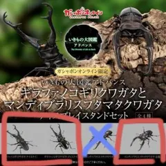 オンライン版　ギラファノコギリクワガタとマンディブラリスフタマタ　3種セット　①