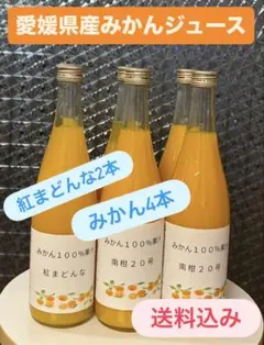 紅まどんな720ml×2本&南柑20号4本ストレートジュース100% 6本のサムネイル