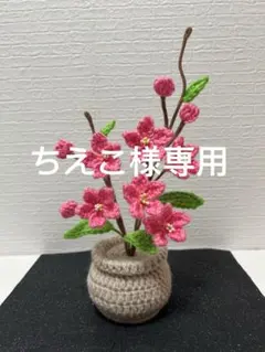 ちえこ様専用桃の花•鉢植え•枯れない花•あみぐるみ•毛糸フラワー•ひな祭り飾り•