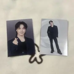 SEVENTEEN NEW_ PHOTO CARD DINO