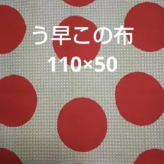 コットン こばやし　う早この布　日本製　ドット　水玉　うさこの布　オックス