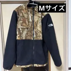 THE NORTH FACE デナリジャケット ノベルティ