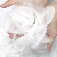 Item thumbnail for item f838af60-e2e7-44f2-a167-fd54dc18fc6c