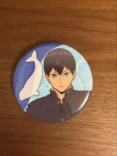 ハイキュー　影山飛雄　アクアリウムキャラバン　缶バッジ　水族館