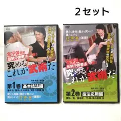 宮平保　究める❗これが武術だ❗　第1巻＆第2巻　セット DVD 究める！これが武術だ 第1巻
