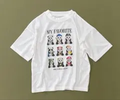 Item thumbnail for item 9db0fc27-f202-4688-b19b-6a9fb1909de8