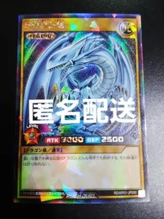 2025年最新】ブルーアイズホワイトドラゴン ラッシュの人気アイテム