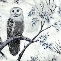 71123 フクロウ　冬景色　シルバー　ホフマンファブリック　生地　輸入生地