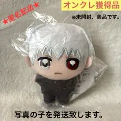 【オンクレ獲得、美品】東京喰種　ぬいぷりけ　金木研