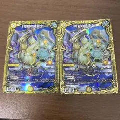 絶対の楯騎士」 アブソリュートシールドナイト B - メルカリ