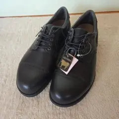 Item thumbnail for item 509349d4-f127-4bd0-a32d-be0fbb25e977