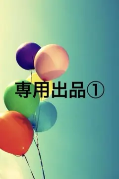 専用出品①