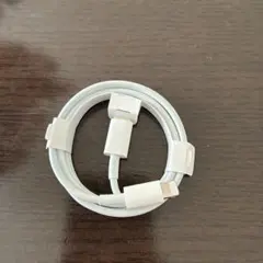 純正　USB-C - Lightning ケーブル