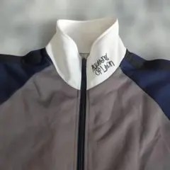 Item thumbnail for item 21ba5ee9-e8f1-4f9d-83e7-d48dd8b8a570