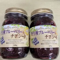 野生種　ブルーベリー＆チアシード 540g ２個セットのサムネイル