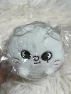 2026年最新】skzoo チャームの人気アイテム - メルカリ