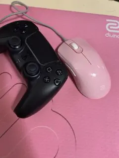 BenQ G-SR-SE FK2-B DIVINA