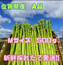 Мサイズ　グリーンアスパラガス500gのサムネイル