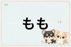 専用