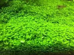 ☆KMey☆様 リクエスト 2点 まとめ商品